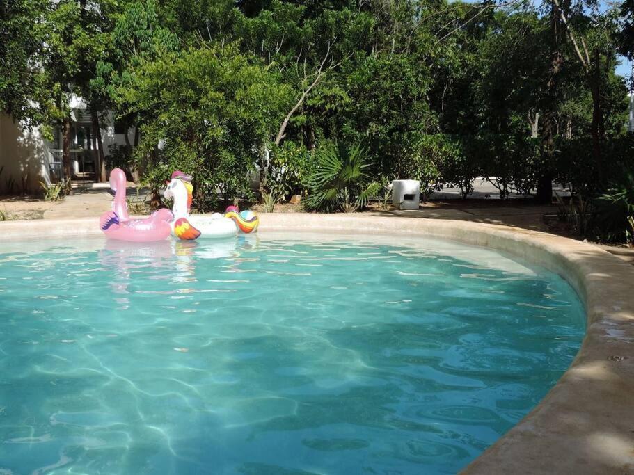Departamento Residencial Con Alberca 坎昆 外观 照片